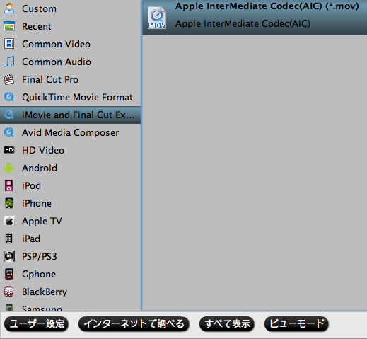 Sony X1000V 4K XAVC S 変換 AIC MOV